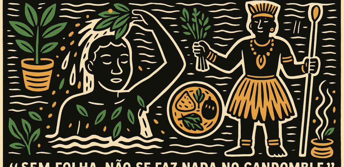 uso de ervas